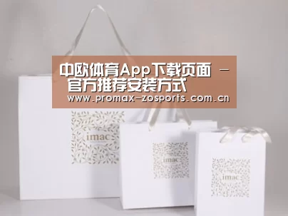 项目名称十一