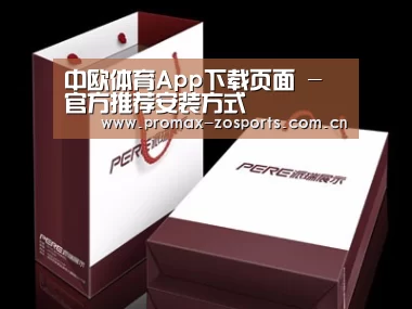 项目名称十二