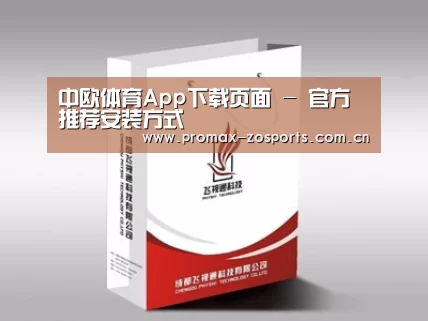 项目名称十三