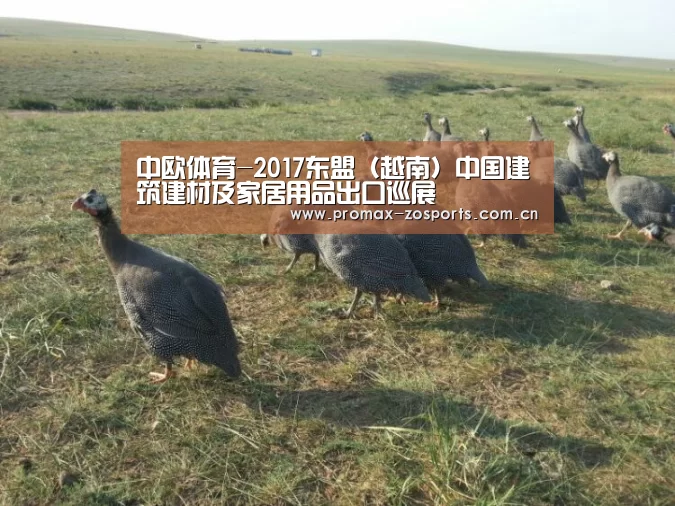 中欧体育-2017东盟(越南)中国建筑建材及家居用品出口巡展(图2) zoty体育
