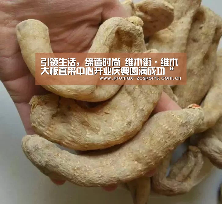 引领生活,缔造时尚 维木街·维木大板直采中心开业庆典圆满成功“中欧体育”(图4) 中欧体育平台