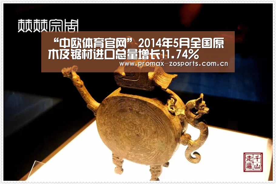 中欧体育
