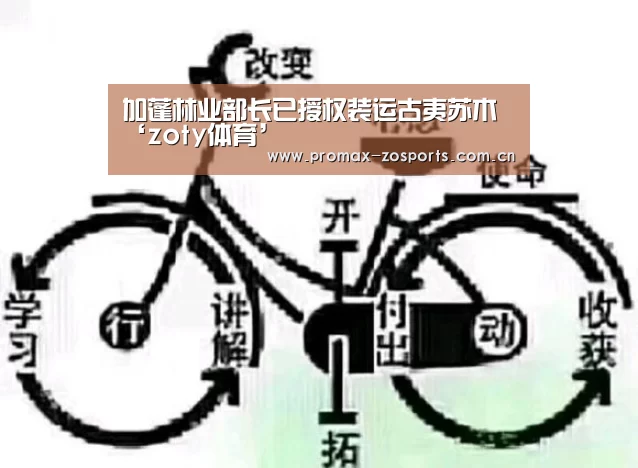 中欧体育官网
